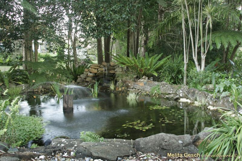 Bendles Cottages Maleny Extérieur photo