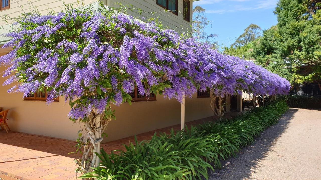 Bendles Cottages Maleny Extérieur photo